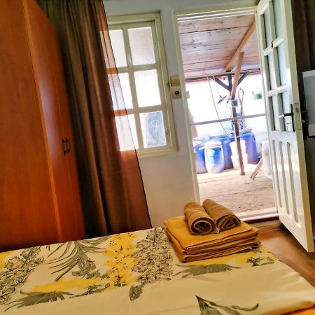 Casa Ioana Hotel Costinești Kültér fotó